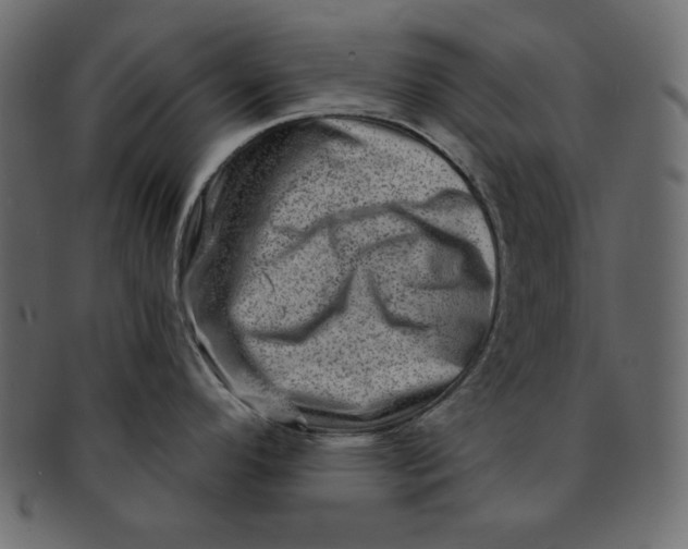 X0000091851296200709261200