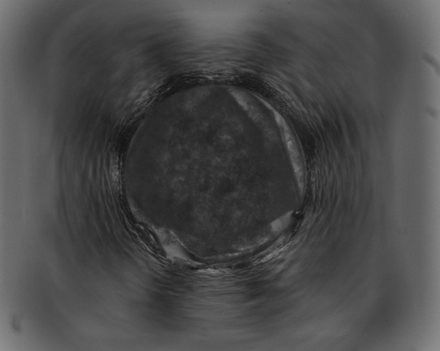 X0000091851298200709261159