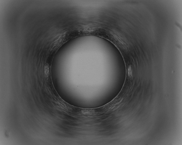 X0000091851299200709261159