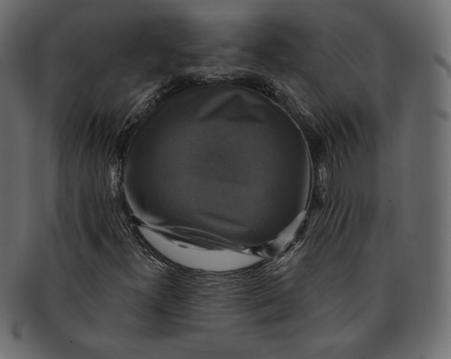 X0000091851300200709261159