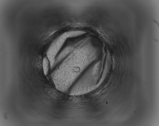 X0000091851301200709261159