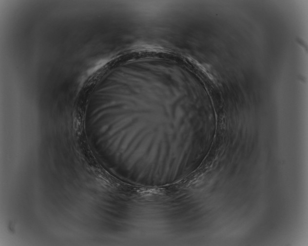 X0000091851303200709261159