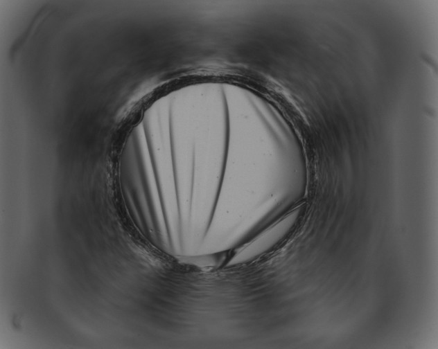 X0000091851304200709261159