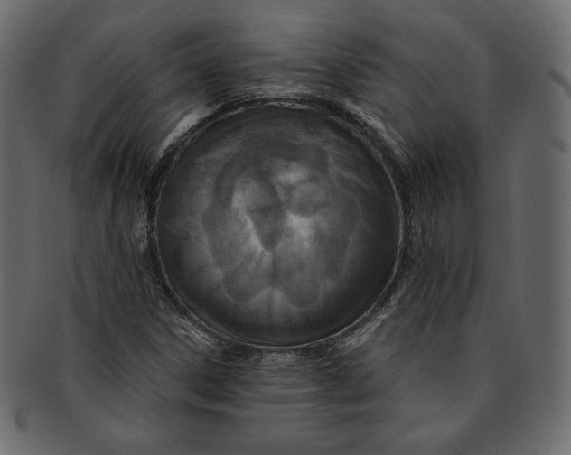 X0000091851306200709261159