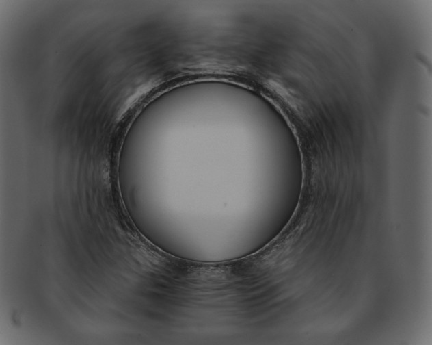 X0000091851307200709261159