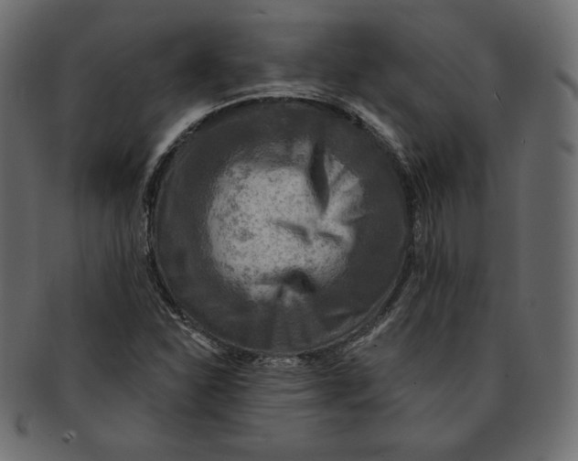 X0000091851310200709261159