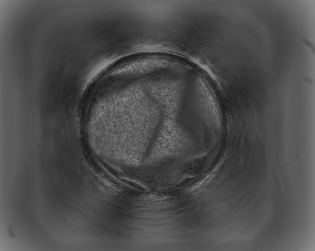 X0000091851311200709261159