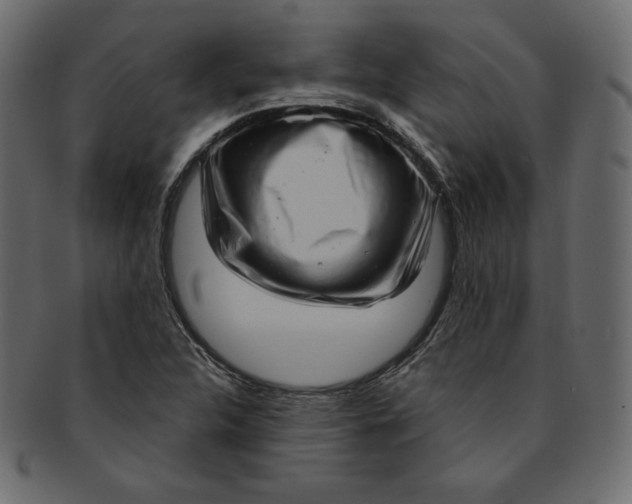 X0000091851312200709261159