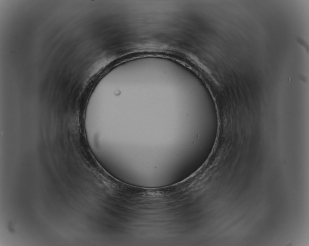 X0000091851315200709261159