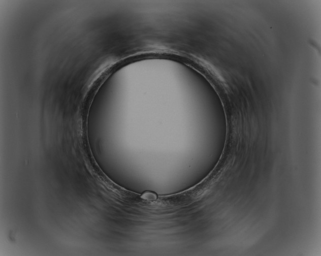 X0000091851318200709261159