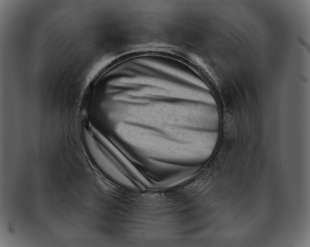 X0000091851320200709261159