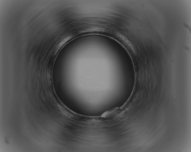 X0000091851321200709261200