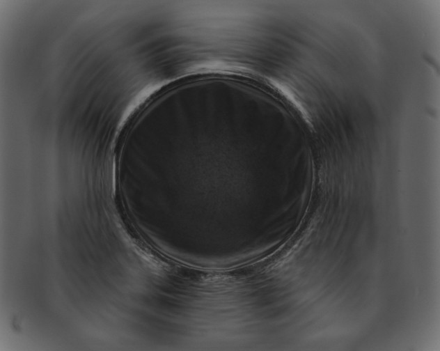 X0000091851323200709261200