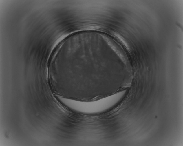 X0000091851324200709261200