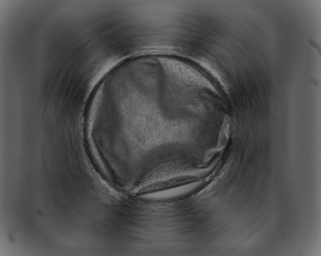 X0000091851325200709261200