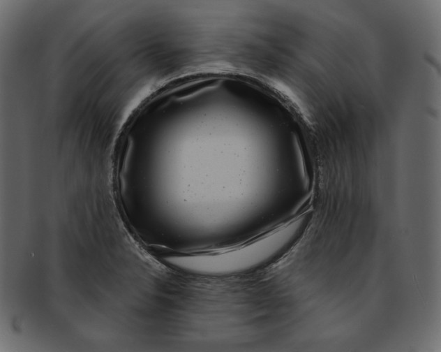 X0000091851326200709261200