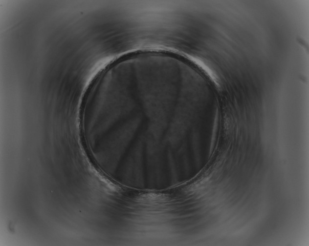 X0000091851327200709261200