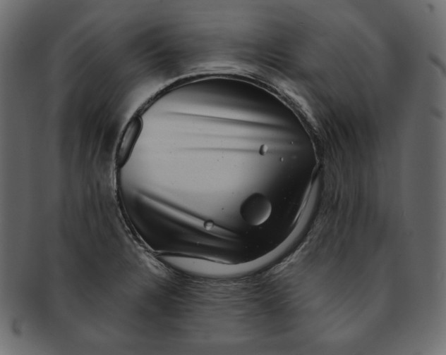 X0000091851328200709261200