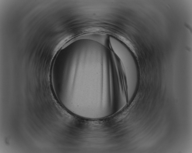 X0000091851330200709261200