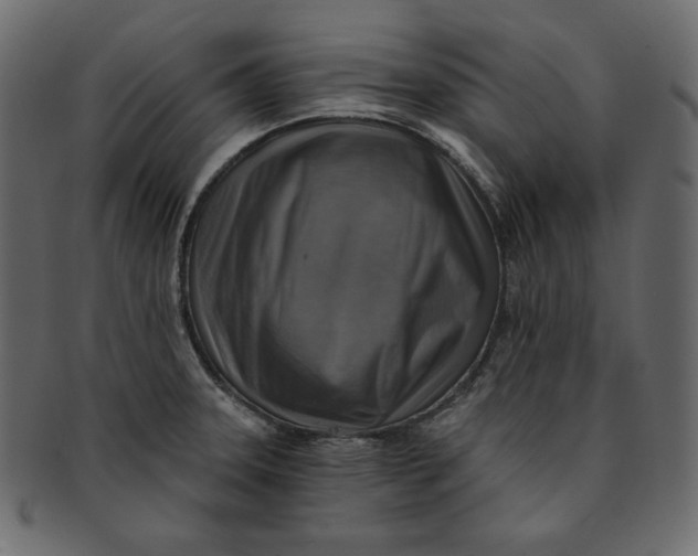 X0000091851331200709261200