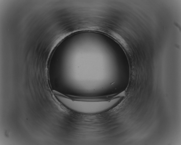 X0000091851332200709261200