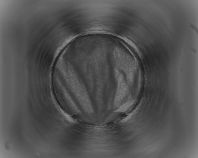 X0000091851333200709261200