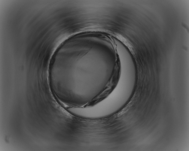 X0000091851334200709261200