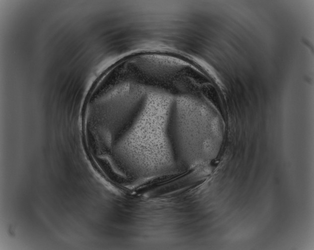 X0000091851335200709261200