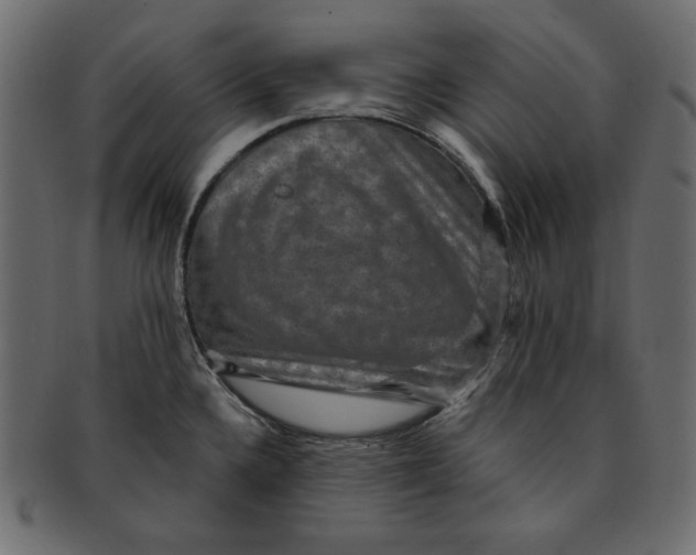 X0000091851336200709261200