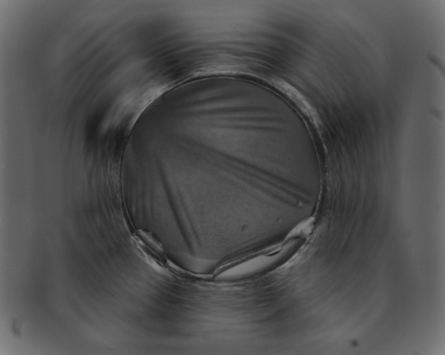 X0000091851337200709261200