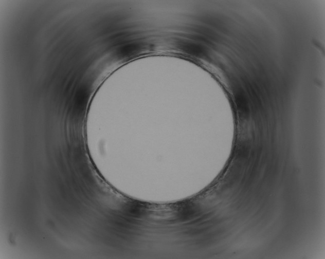 X0000091851338200709261200