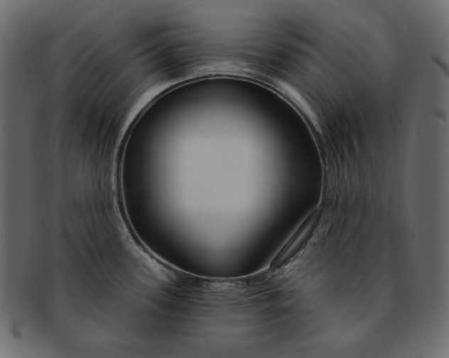 X0000091851339200709261200