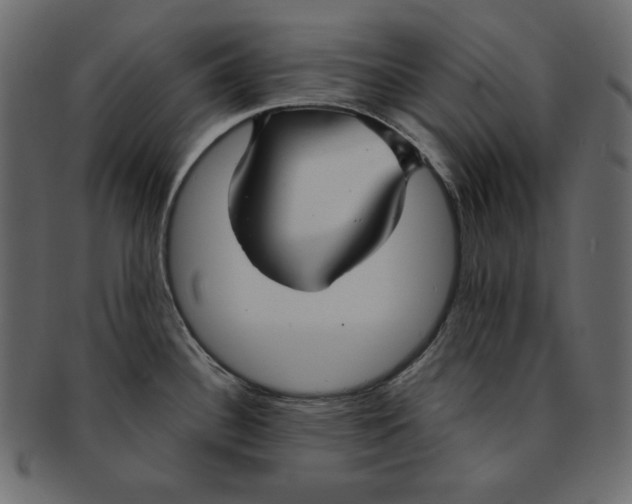 X0000091851340200709261200