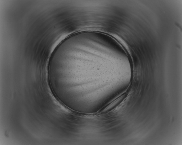 X0000091851341200709261200