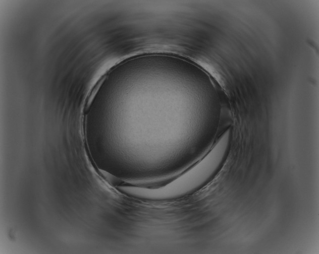 X0000091851342200709261200