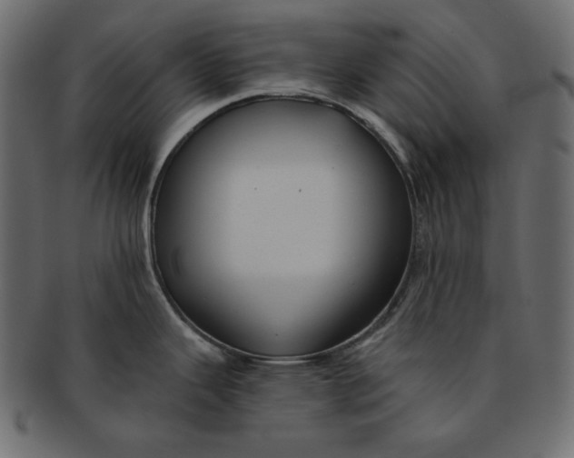 X0000091851343200709261200