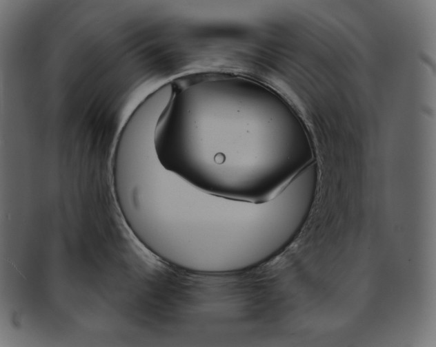 X0000091851344200709261200