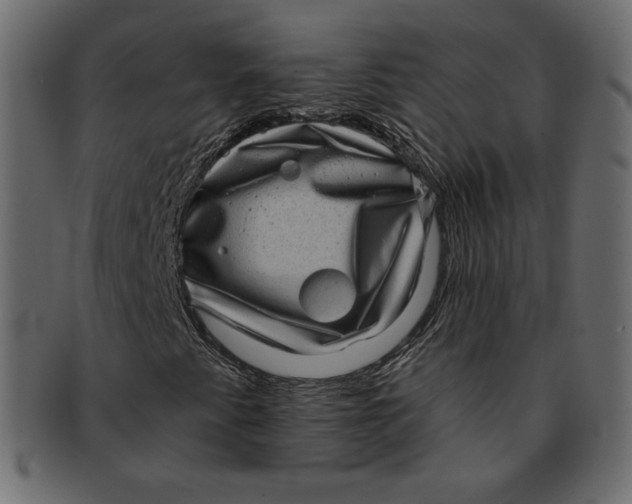 X0000091851345200709261159