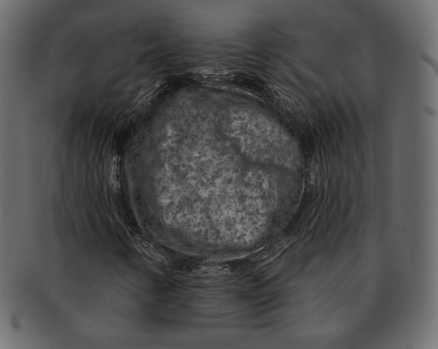 X0000091851346200709261159