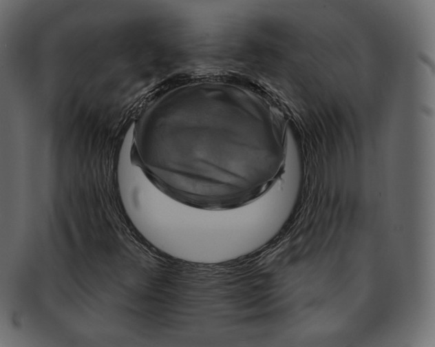 X0000091851348200709261159