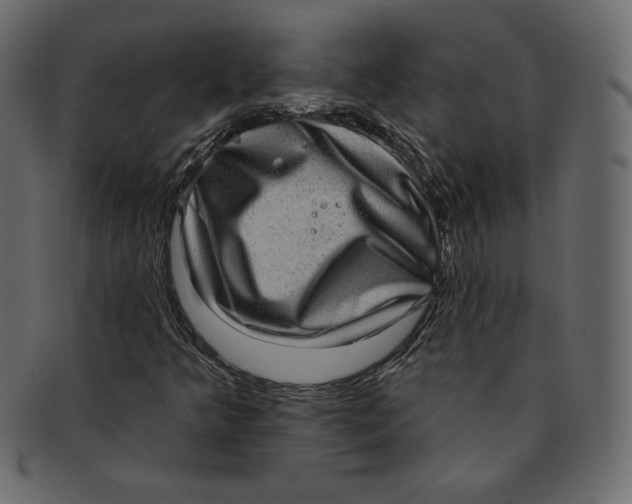 X0000091851349200709261159