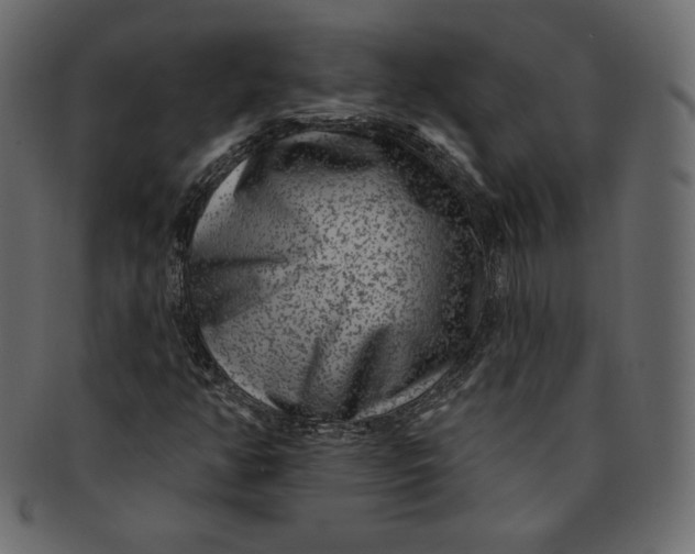 X0000091851350200709261159