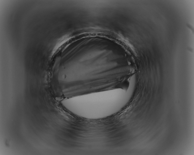 X0000091851352200709261159