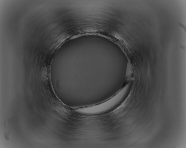 X0000091851353200709261159