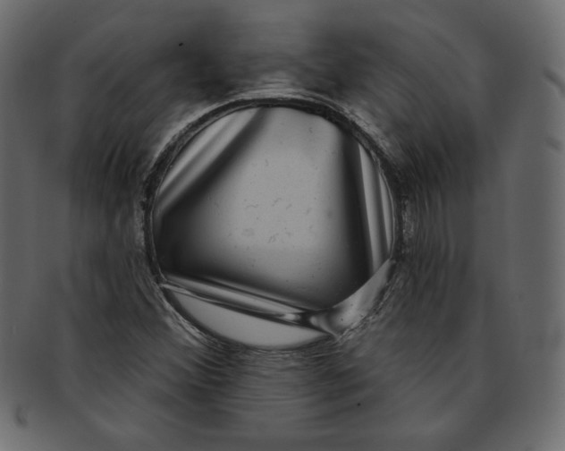 X0000091851356200709261159