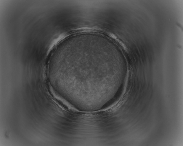 X0000091851357200709261159