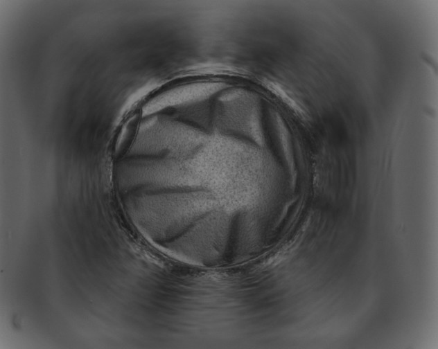 X0000091851358200709261159