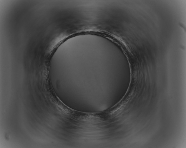 X0000091851359200709261159