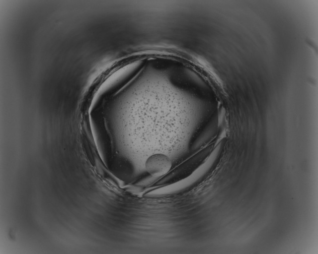 X0000091851360200709261159