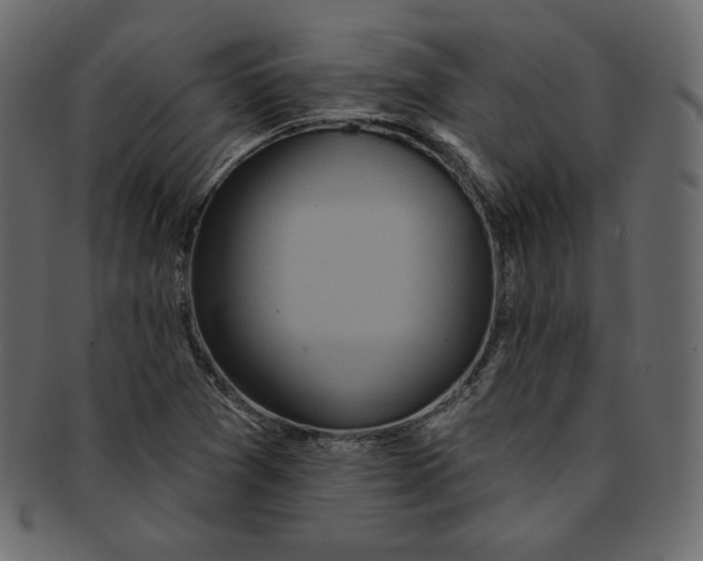 X0000091851361200709261159